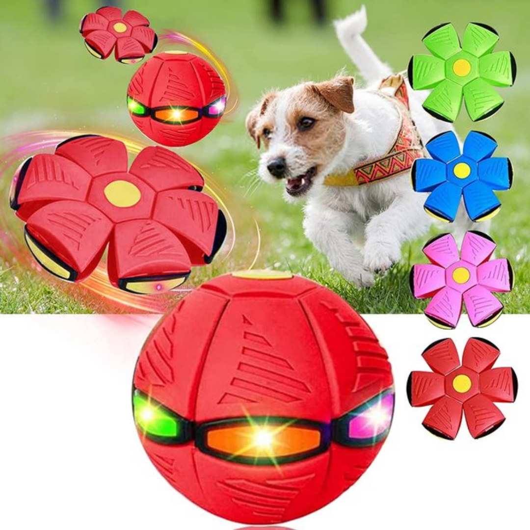 PatiKöşk™ Uçan Ufo Topu 2'li Paket
