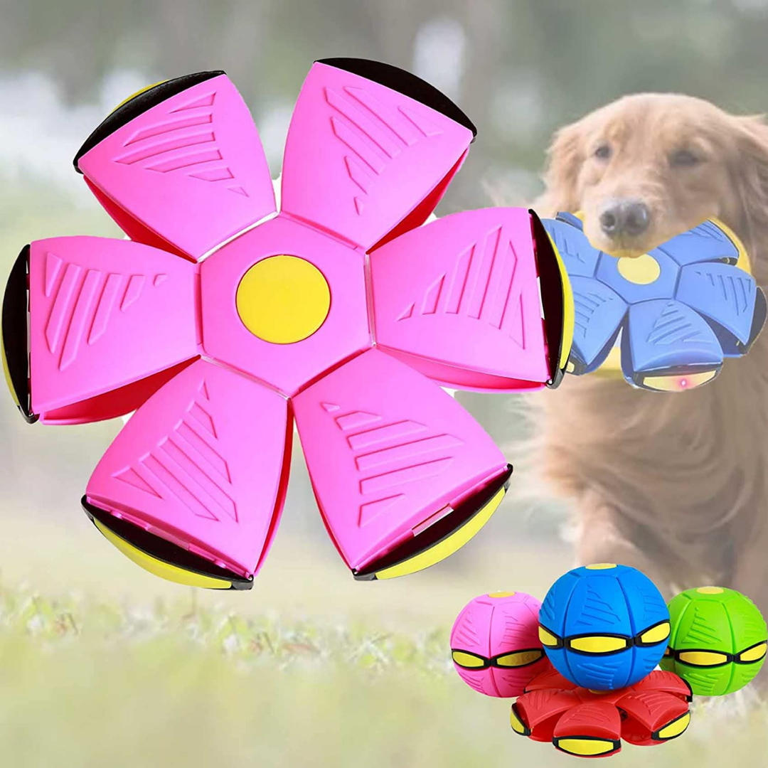 PatiKöşk™ Uçan Ufo Topu 2'li Paket