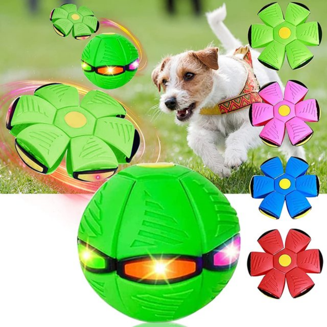 PatiKöşk™ Uçan Ufo Topu 2'li Paket